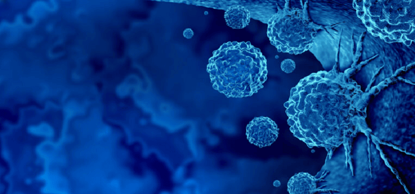 Hox Therapeutics Announces Collaboration with Vernalis